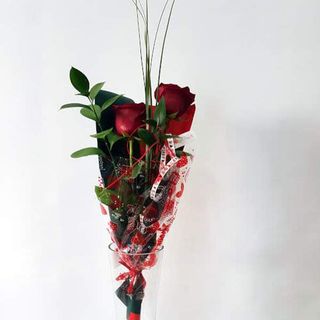 2 Rosas rojas