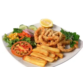 Plato N 12
