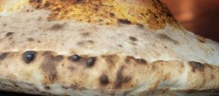 Skattate con pomodoro, mozzarella, ricotta forte, rucola e pomodorini