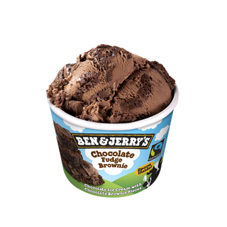 Ben & Jerry's Chocolate Fudge Brownie 100 ml