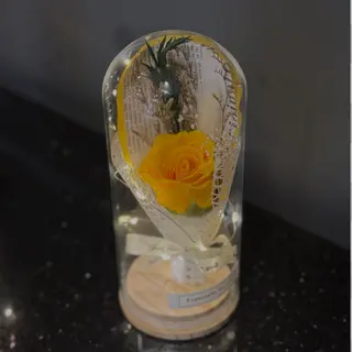 Rose sous clouche