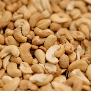 Anacardi