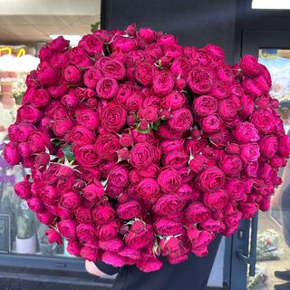 Троянда, яка підкорює серця 