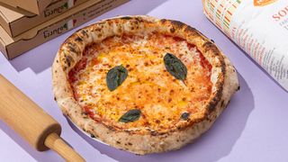 მარგერიტა საშუალო