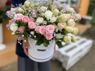 თაიგული 40