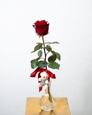 Trandafir Valentine's Day