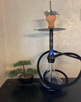 Shisha Black Caro Blue