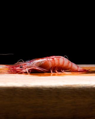 Gamba Roja Del Mediterráneo XXL (4 Uds.)