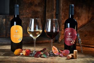 Vino Cardaropoli Aglianico