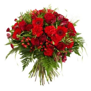 45 bordowych kwiatów