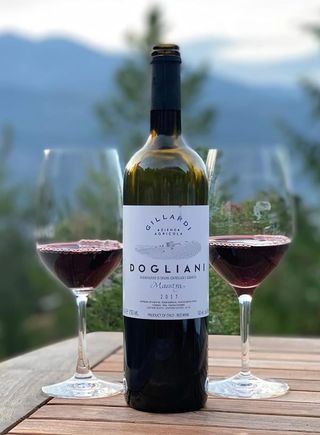 Barbera d’alba superiore