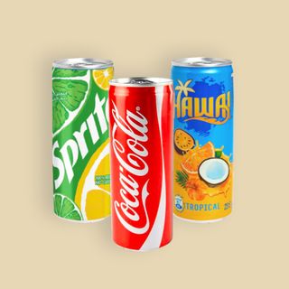 Coca Cola Original Canette 25cl