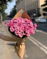 ვარდისფერი ქრიზანთემას დიდი კონა