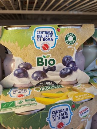 Yogurt centrale vetro mirtilli confezione da 2