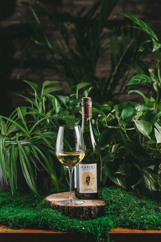 Marius Rouge Syrah Grenache Pays DOC