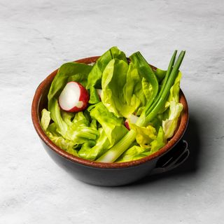Bašta salata