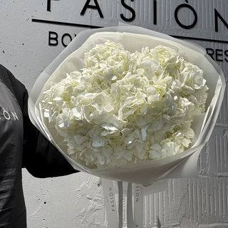 5 Колумбійських гортензій