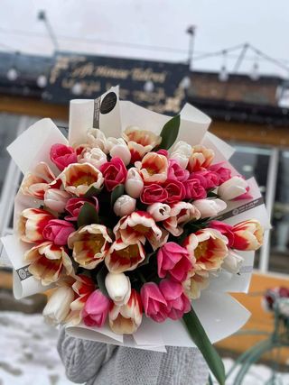 თაიგული 16