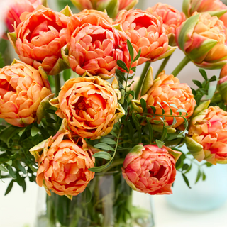 Bukiet 15 tulipanów Orange Princess 