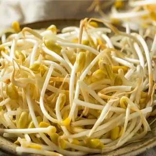 Ensalada De Brotes De Soja