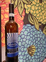 Falanghina del Sannio Casa Sorbillo 75 cl