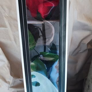 Trajna ruža u kutiji 50