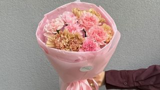 Bukiet Różowo-Karmelowych Goździków - 11 szt.