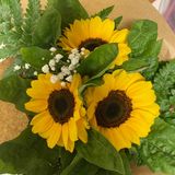 3 GIRASOLES PREPARADOS 