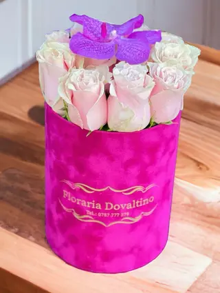 Cutie roses Pink 