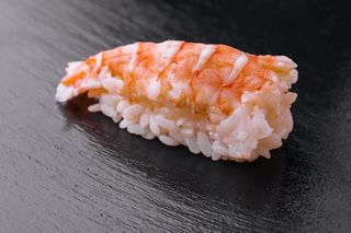 Nigiri Ebi