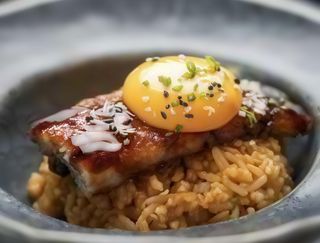 Donburi De Anguila