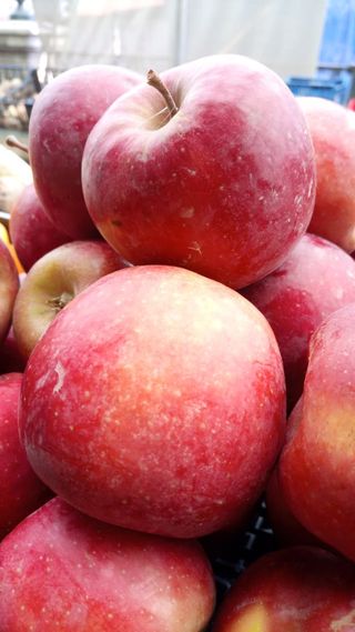 Manzana ecológica sagargorri