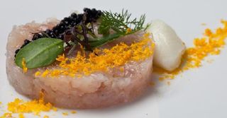 Tartare di gallinella