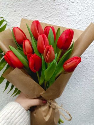 Ramo de Tulipanes rojo