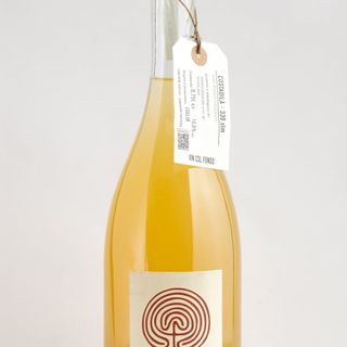 Vino Espumoso Frizzante dei Colli Trevigiani Costadilà 2019