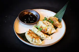 Gyoza