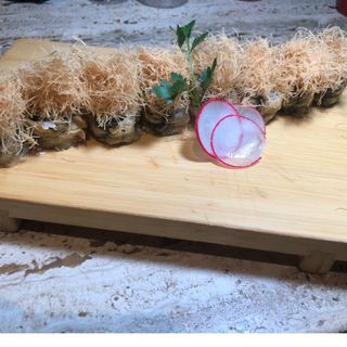 38A. Philadelphia maki tempura