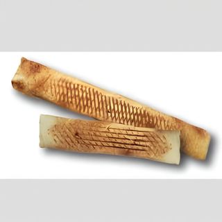 Rollo Amerykański Mega