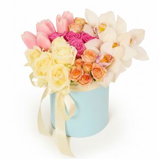 Композиція"Ambitions"