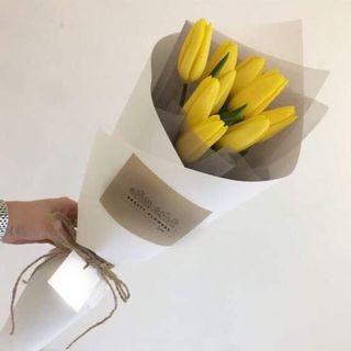 ყვითელი ტიტა