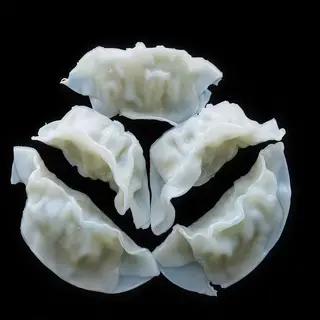 Gyoza Vegetals