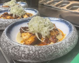 Октопод с ендуя