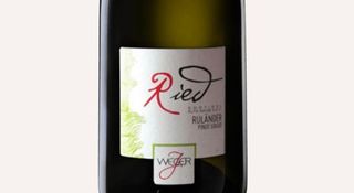 Pinot Grigio Weger Ried Rulander