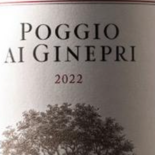 Poggio Ai Ginepri Bolgheri D.O.C