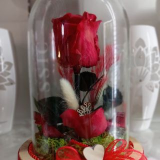 La bella e la bestia 