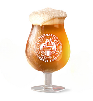 Beermaster 110 ALE