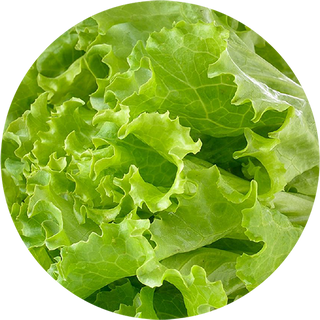 Листя салату 50г