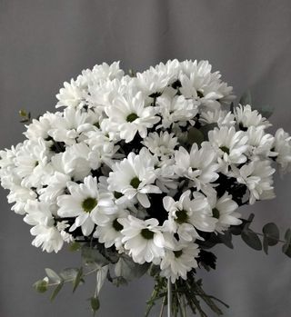 Ramo margaritas blancas mediano