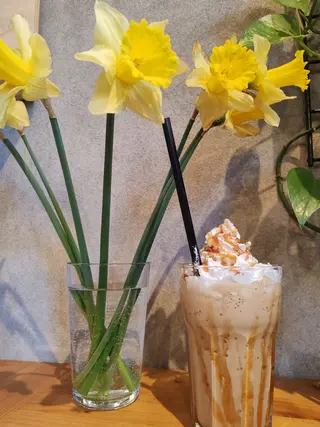 Frappe