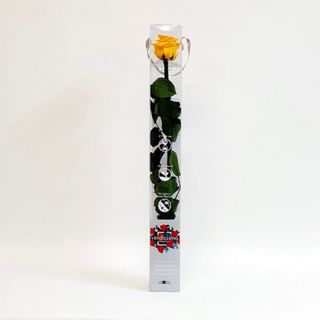 Una Rosa Amarilla Preservada